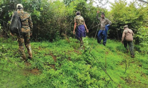 forest van vibhag vacancy